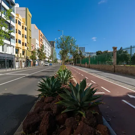 The Aesthetic Haven *