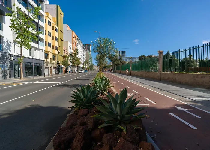 The Aesthetic Haven *